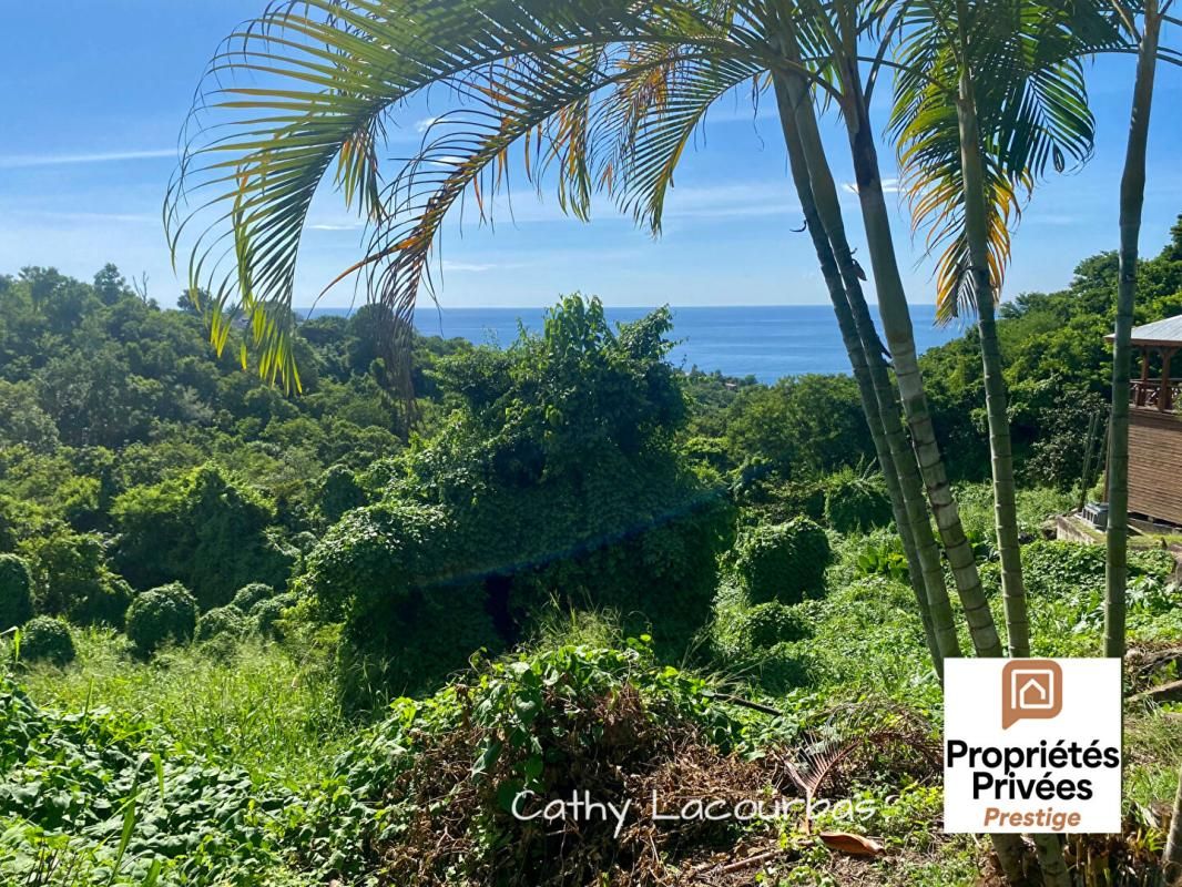 BOUILLANTE URGENT  - Terrain constructible vue mer - Bouillante 7709 m2 3