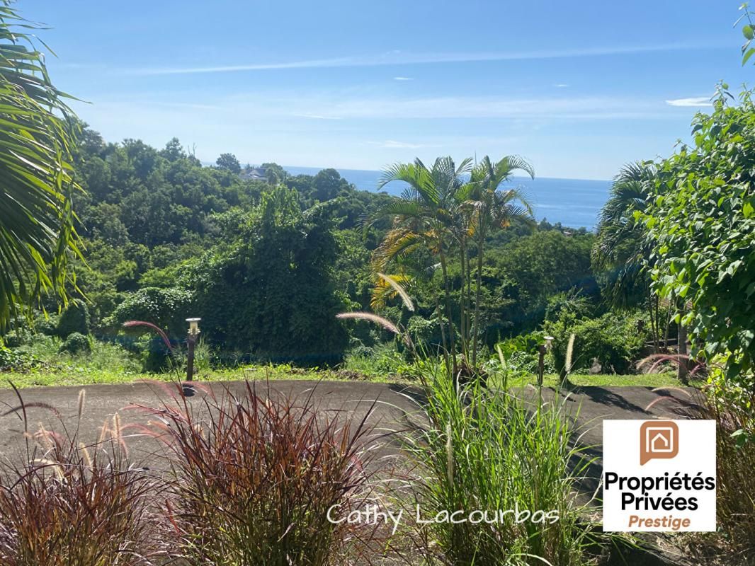 BOUILLANTE URGENT  - Terrain constructible vue mer - Bouillante 7709 m2 4