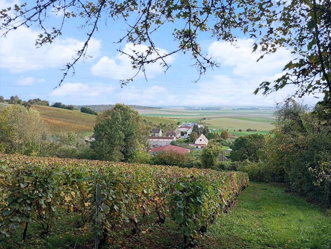 ALLEMANT Maison Allemant 8 pièces 263 m2 3