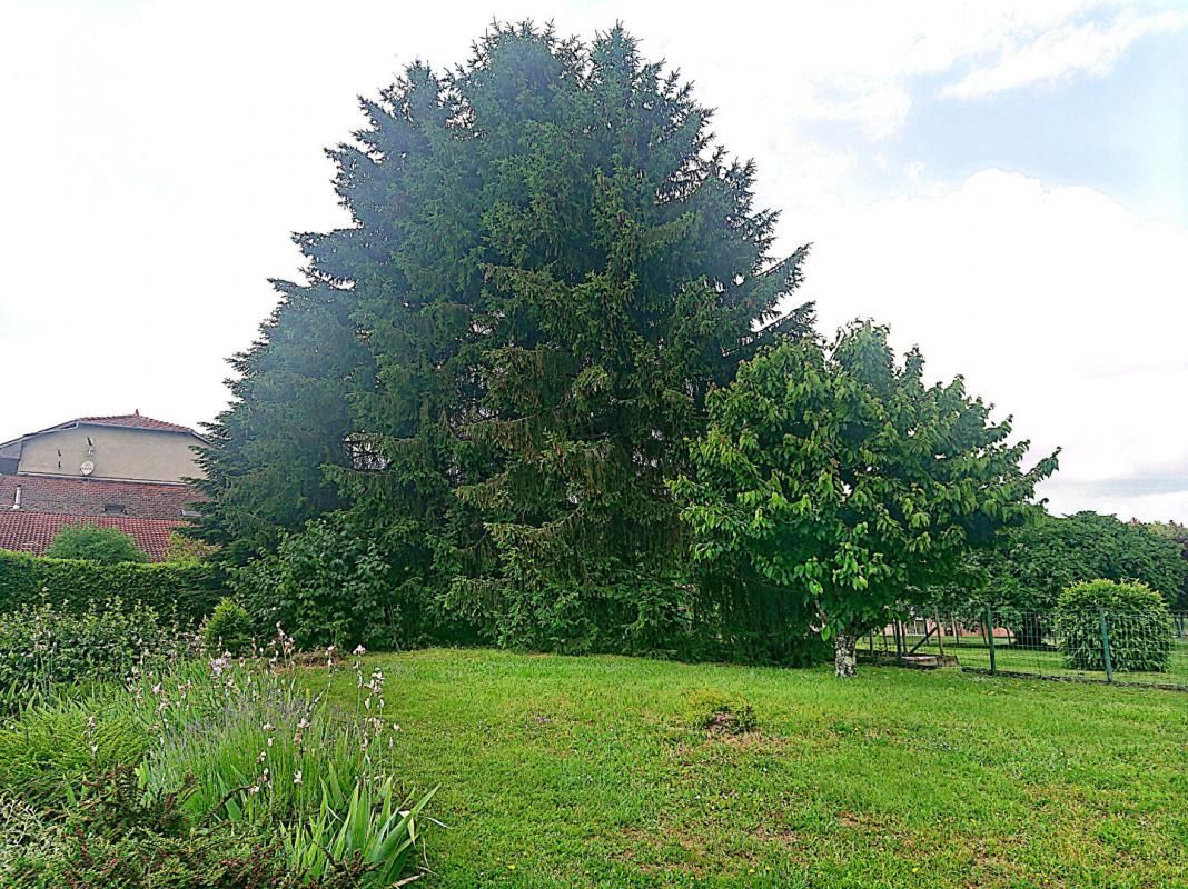 BELLEY Grande maison familiale à vendre 4