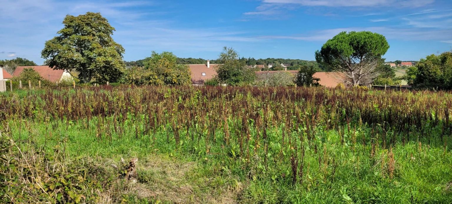 VENDOME BEAU TERRAIN A BATIR 1