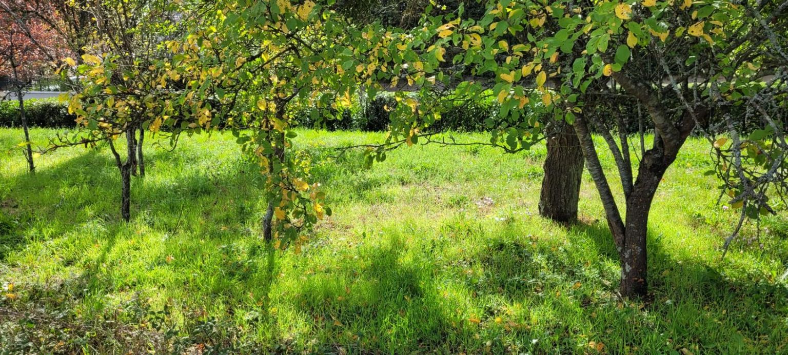 VENDOME BEAU TERRAIN A BATIR 4