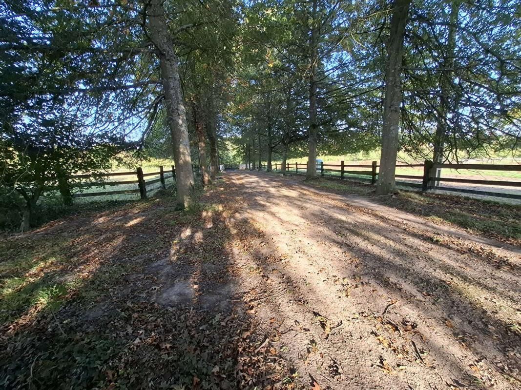 MORTAGNE-AU-PERCHE Propriété équestre Proche Mortagne Au Perche 195 m2 + 29 hectares de terrain 2