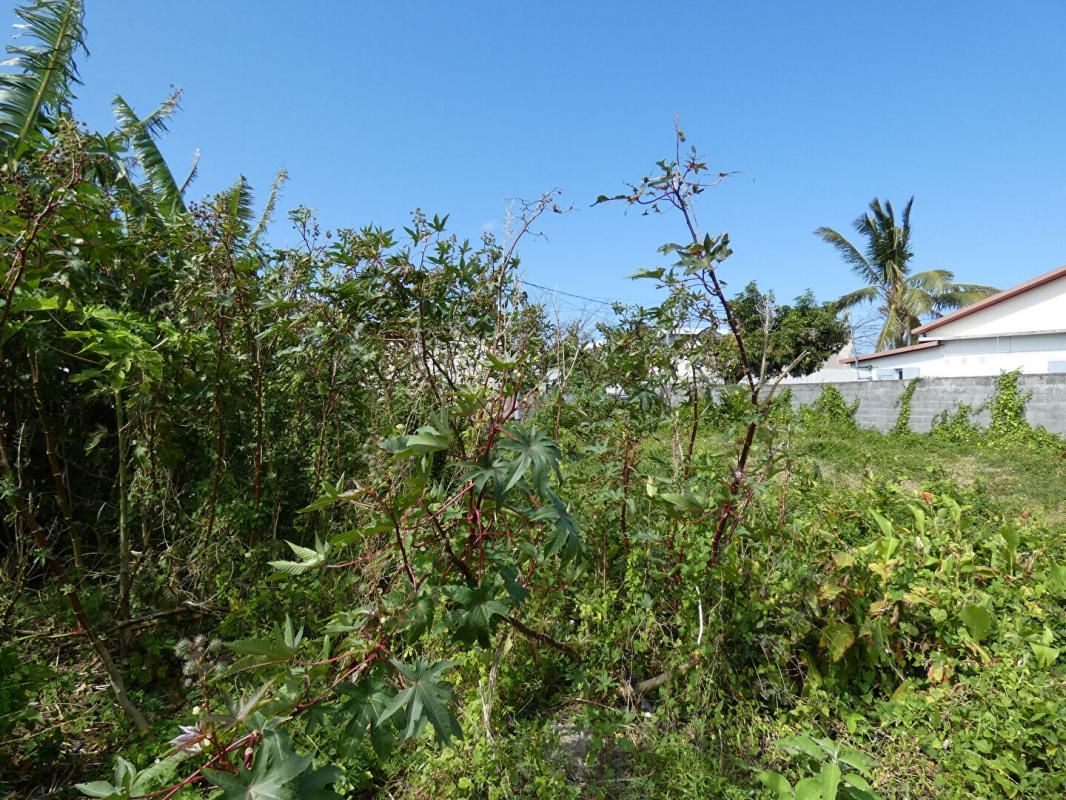 SAINT-BENOIT 97470 Saint Benoit terrain constructible 511 m2 en zone Ua13 2