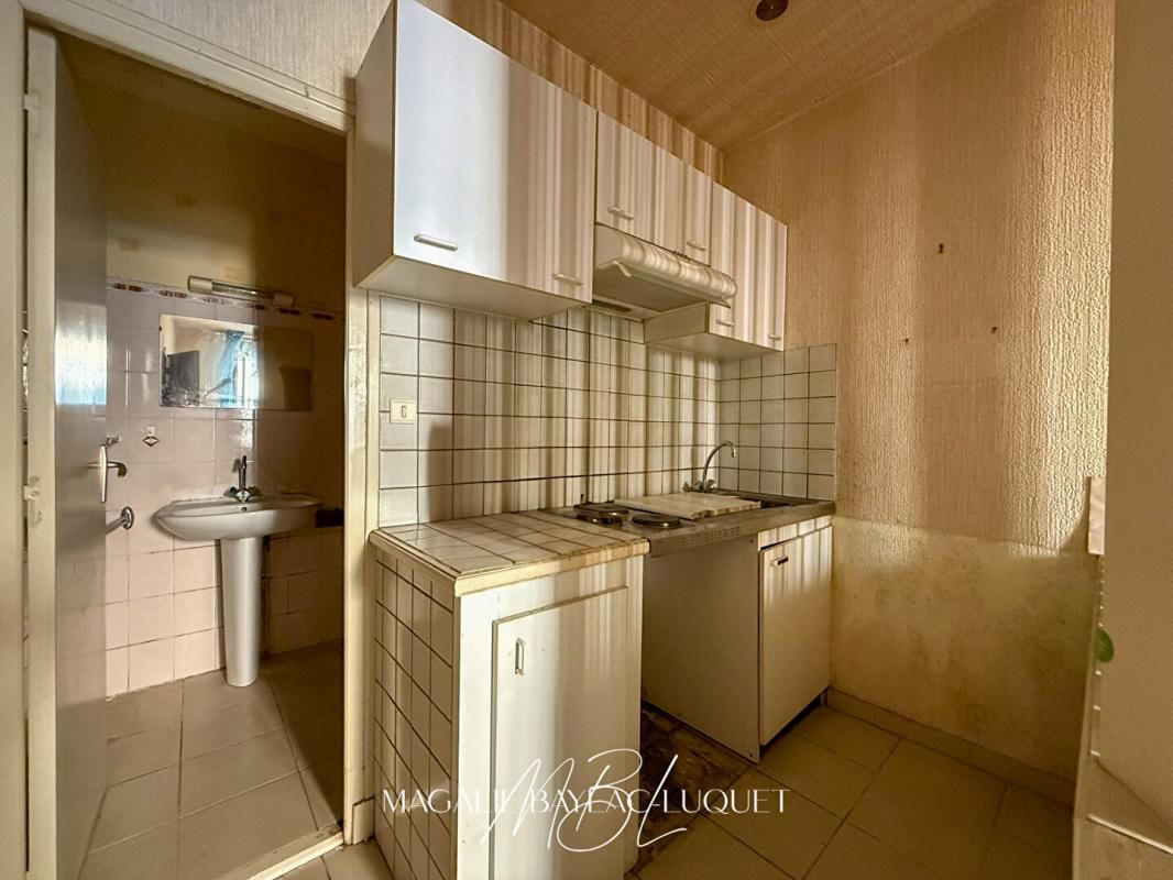CARCASSONNE CARCASSONNE INTRA-MUROS - 147 m²  - COURS de 78 m² - Maison + studios 3