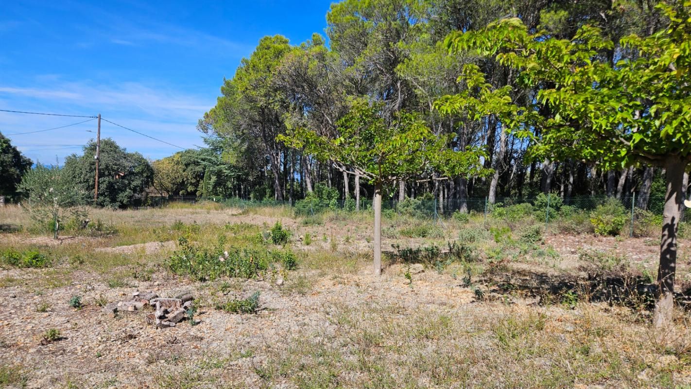 VENDEMIAN Terrain  Vendémian de 3360 m2 ,emplacement stratégique , opportunité a découvrir 1