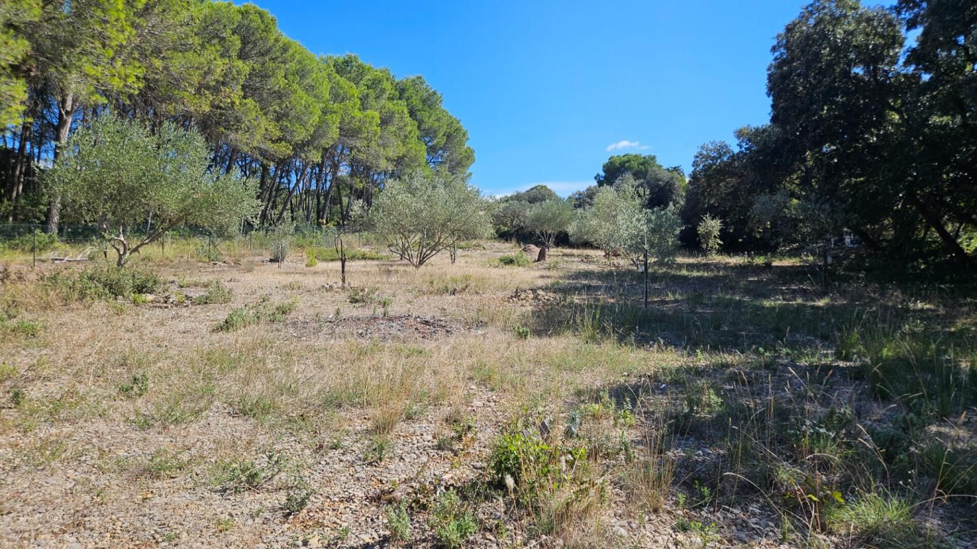 VENDEMIAN Terrain  Vendémian de 3360 m2 ,emplacement stratégique , opportunité a découvrir 2