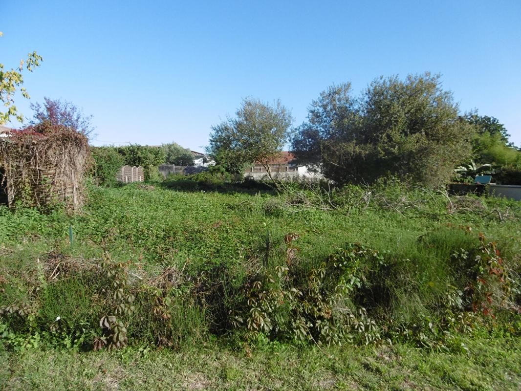 LANGON Terrain  666 m2 1