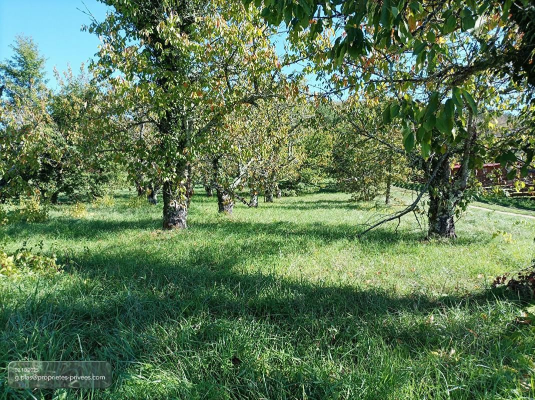 SAINT-VINCENT-RIVE-D'OLT LUZECH .Terrain constructible à vendre 1
