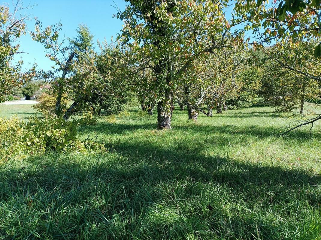 SAINT-VINCENT-RIVE-D'OLT LUZECH .Terrain constructible à vendre 2