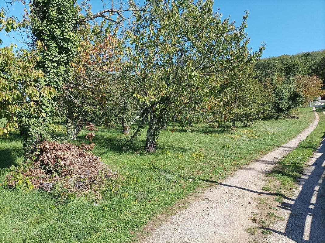 SAINT-VINCENT-RIVE-D'OLT LUZECH .Terrain constructible à vendre 3