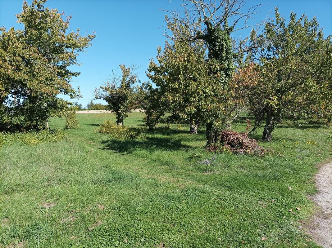 SAINT-VINCENT-RIVE-D'OLT LUZECH .Terrain constructible à vendre 4