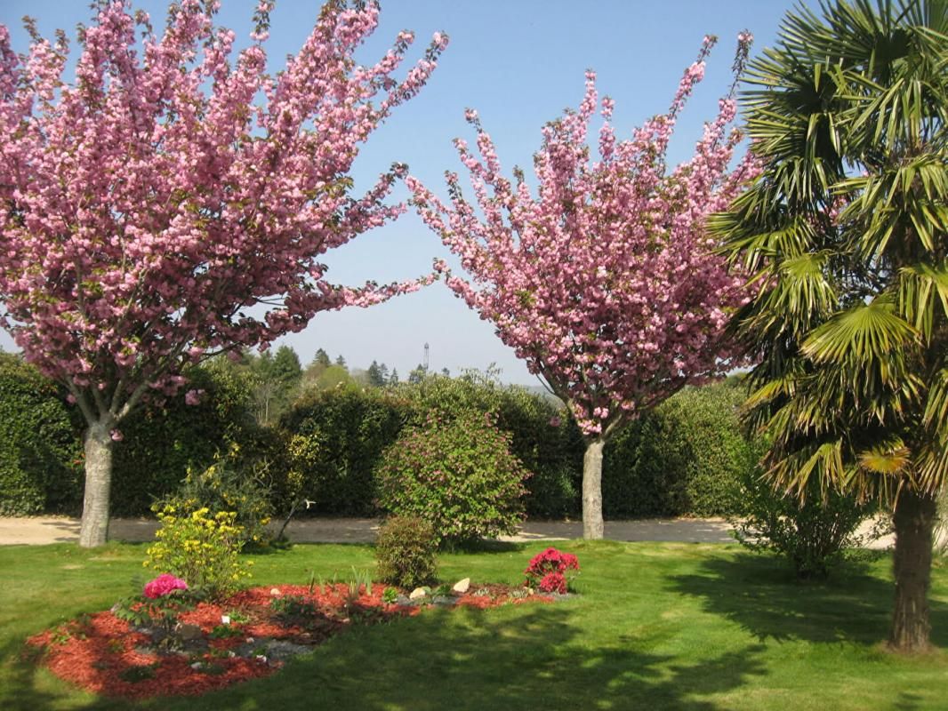 CLEGUER Belle maison traditionnelle de 1997 (125m2) dans le Morbihan (5 min de Plouay - 20 min de Lorient) avec terrain constructible - 364 000 4