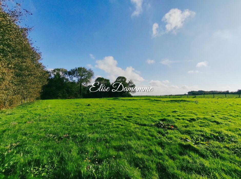 SAINT-JOUIN-BRUNEVAL Nouveauté ? Propriété rare à Saint-Jouin-Bruneval sur 9000m² 4