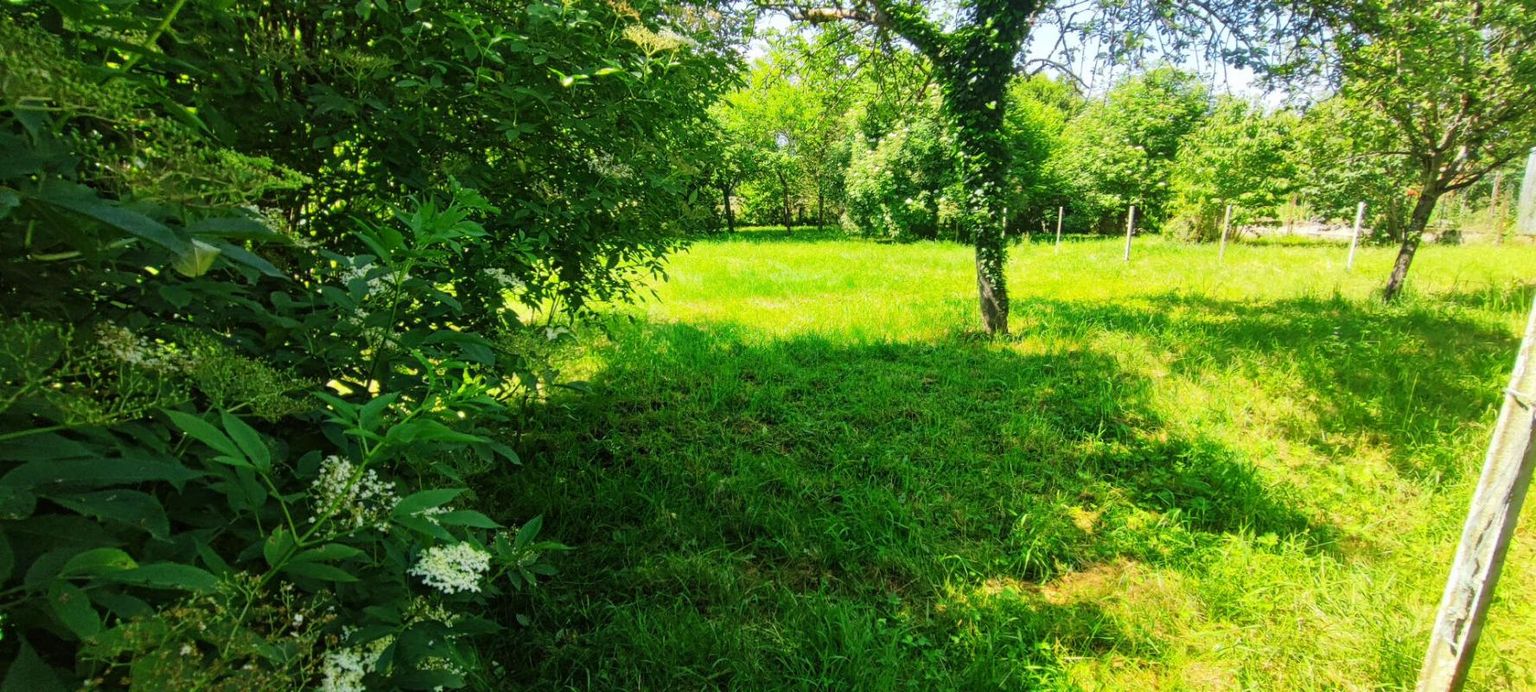 LA GUERCHE-SUR-L'AUBOIS Maison La Guerche Sur L Aubois 4
