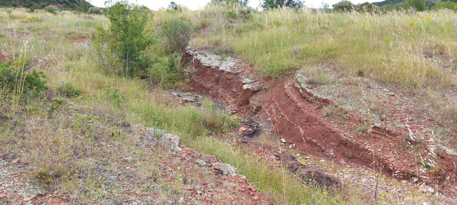LIAUSSON GRAND Terrain NON CONSTRUCTIBLE à Salasc 3