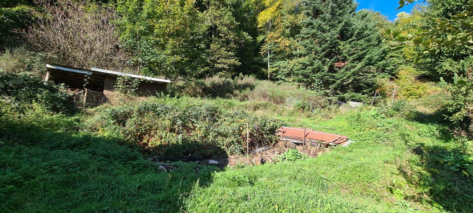 VESCEMONT Ferme à restaurer 4