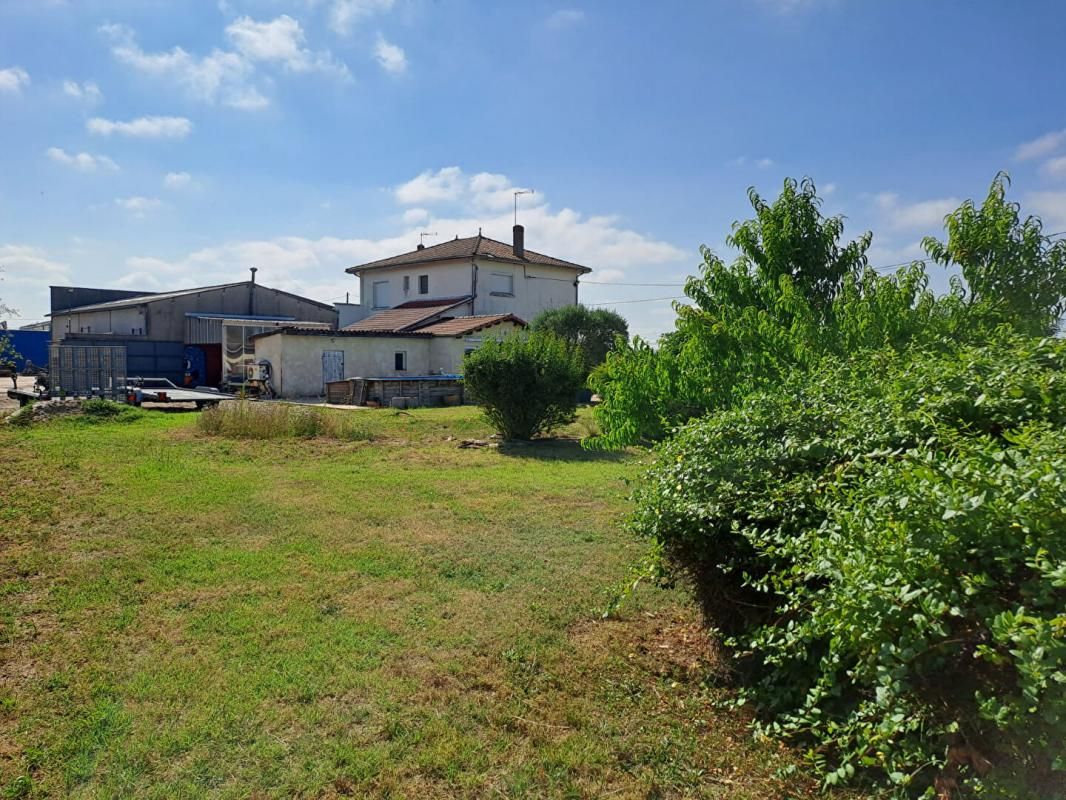 CASTILLON-LA-BATAILLE Axe Castillon / Bordeaux - ENTREPOT, LOCAL, HABITATION 4
