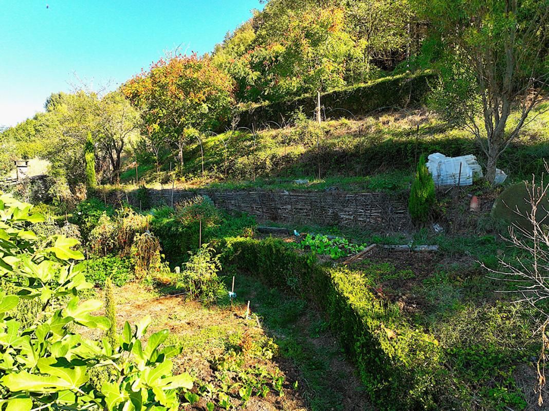 SAINT-AFFRIQUE Villa type 5 + villa type 3 sur 11801m2 + annexes et source 4