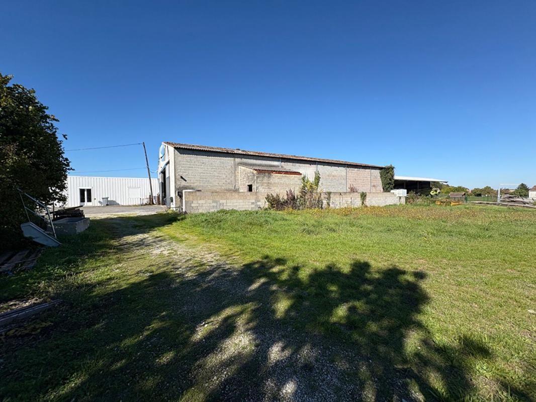 SAINTES EXCLUSIVITE SECTEUR PONS - LOCAL D'ACTIVITE 775 m² 4