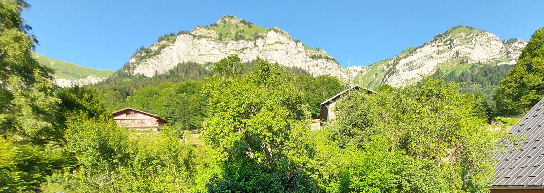 À SAISIR ; 3 PLATEAUX À RÉNOVER À MONTMIN