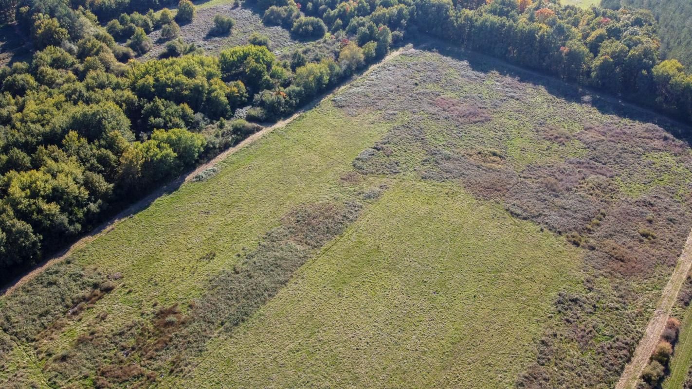 LANGON Territoire de chasse Langon Sur Cher 223455 m2 3