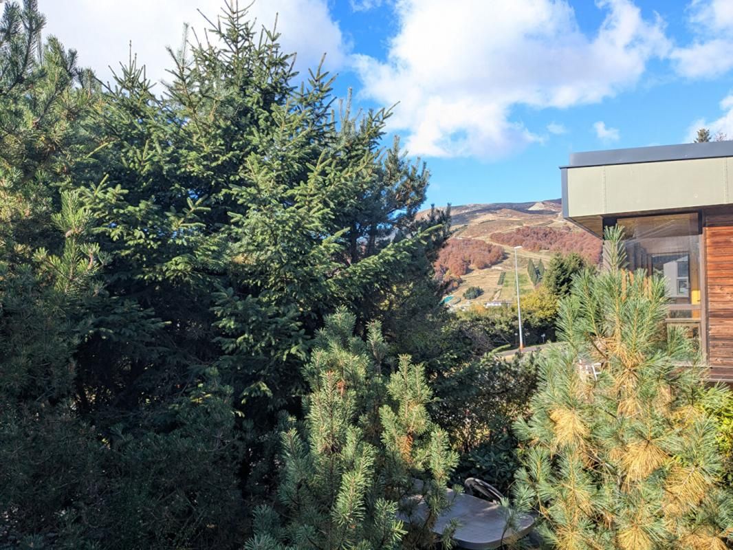 BESSE-ET-SAINT-ANASTAISE Chalet à SUPER BESSE 3