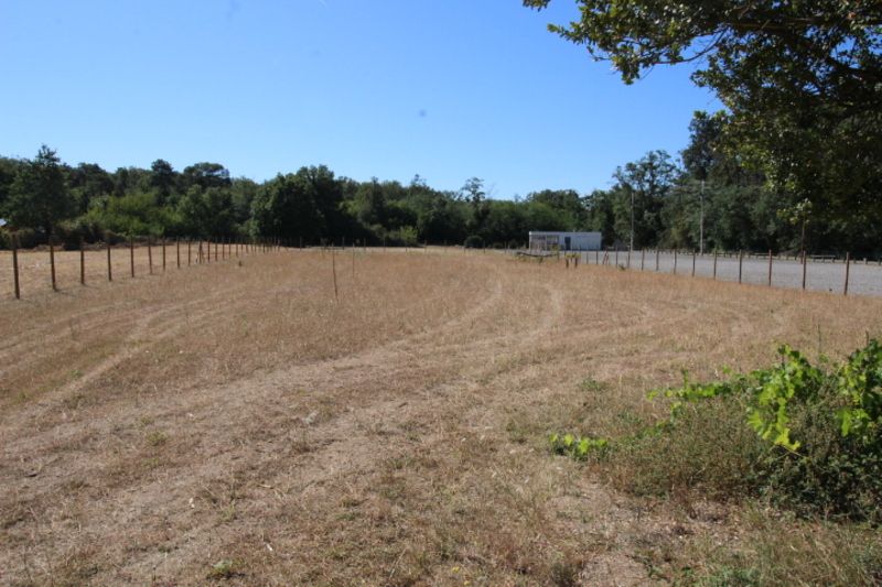 CHATELLERAULT Terrain Targe 3601 m2 1