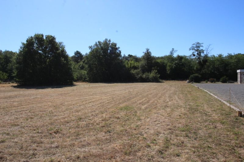 CHATELLERAULT Terrain Targe 3601 m2 3