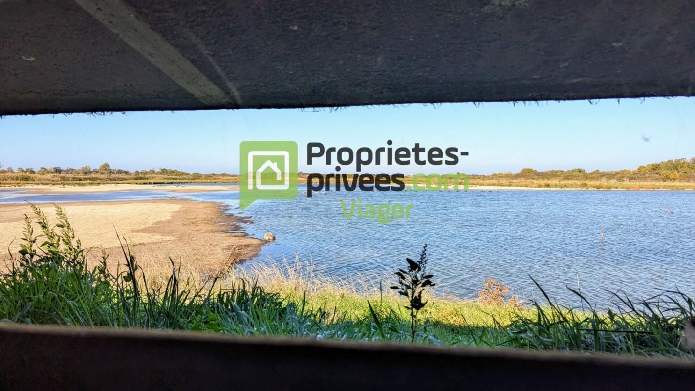 BOURCEFRANC-LE-CHAPUS VIAGER libre :BOURCEFRANC LE CHAPUS-ILE D'OLERON 1