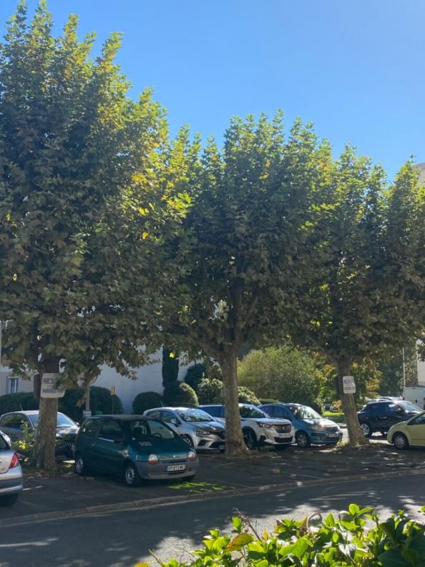 MERIGNAC Appartement Mérignac 3 pièce(s) 80 m2 4