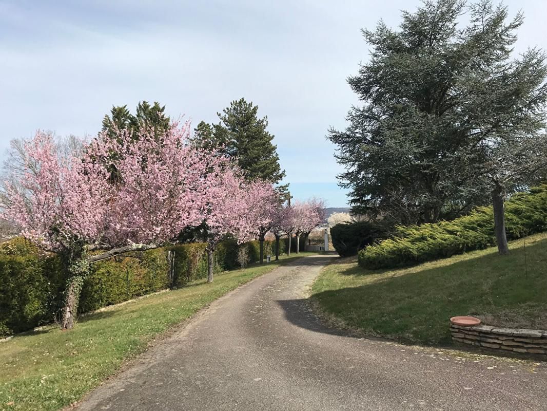 MONTLUCON PROPRIETE DE CARACTERE DANS CADRE BUCOLIQUE - PISCINE - VUE PANORAMIQUE 3