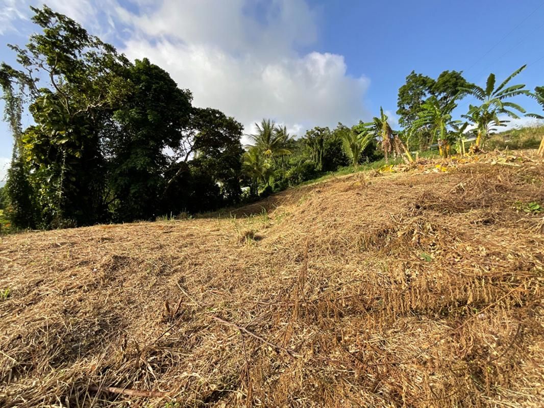 GOURBEYRE Terrain Gourbeyre - Vue mer - 1111 m2 3