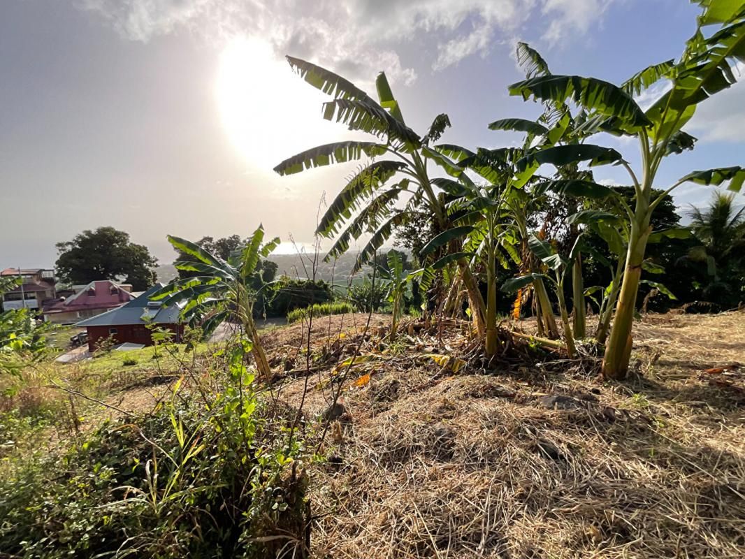 GOURBEYRE Terrain Gourbeyre - Vue mer - 1111 m2 4