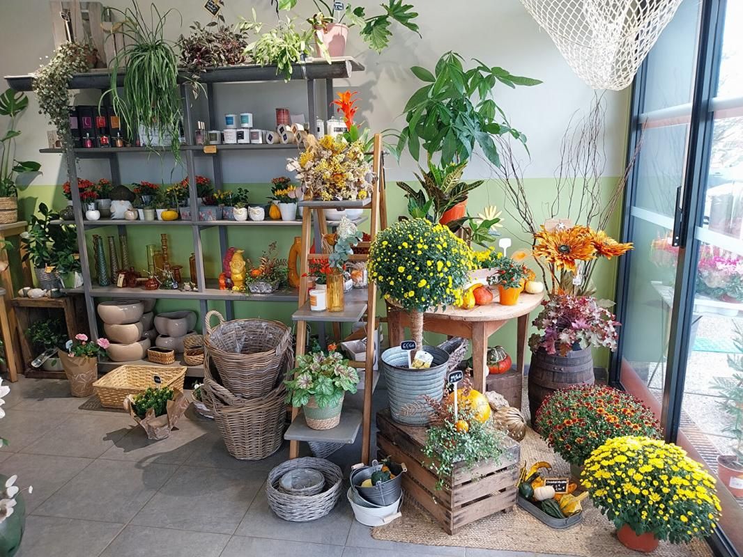 SAINTES SECTEUR SAINTES - FLEURISTE, PLANTES, DECORATION 4