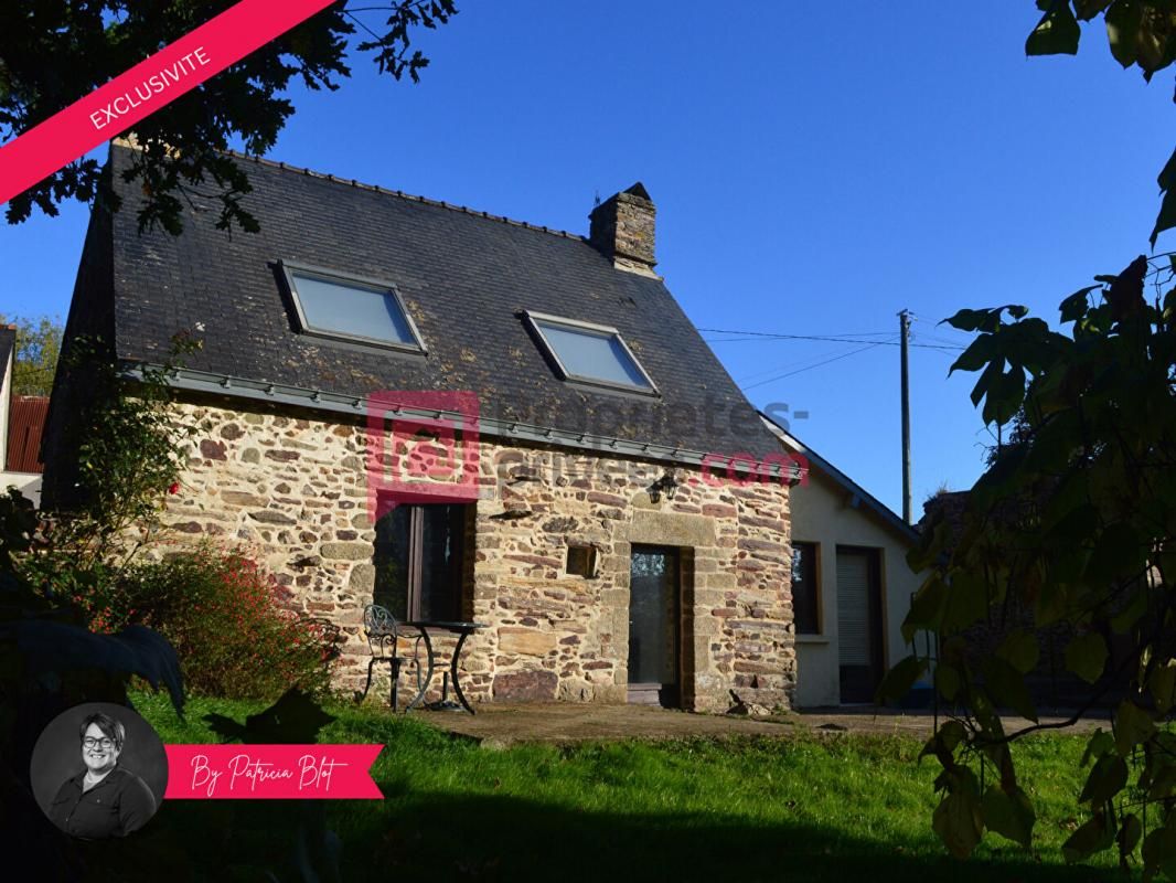 Maison de bourg pleine de charme avec grand terrain et vue dégagée - 58 m²