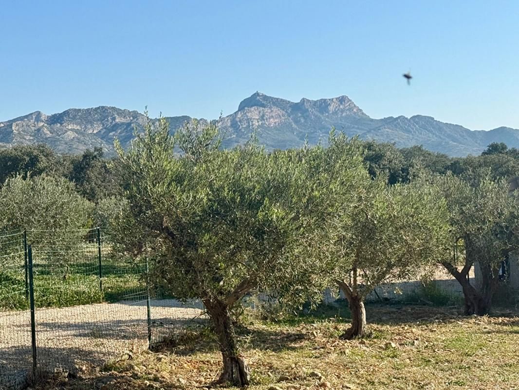 AUREILLE Exclusivité - TERRAIN 700m2 - AUREILLE 1