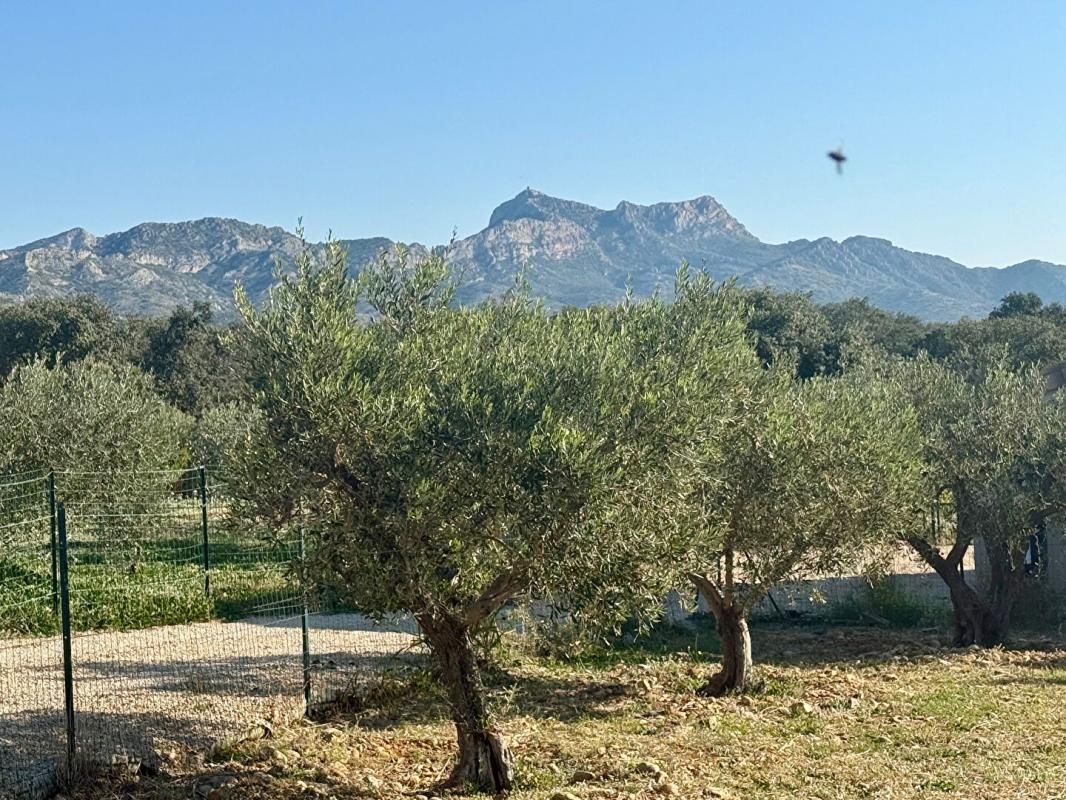 AUREILLE Exclusivité - TERRAIN 700m2 - AUREILLE 4