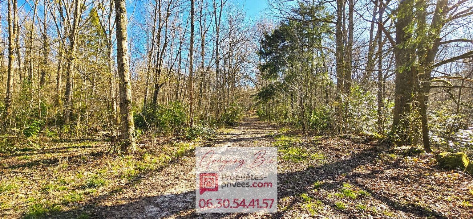 LA FERTE-SOUS-JOUARRE Domaine Forestier 9,5 hectares 1