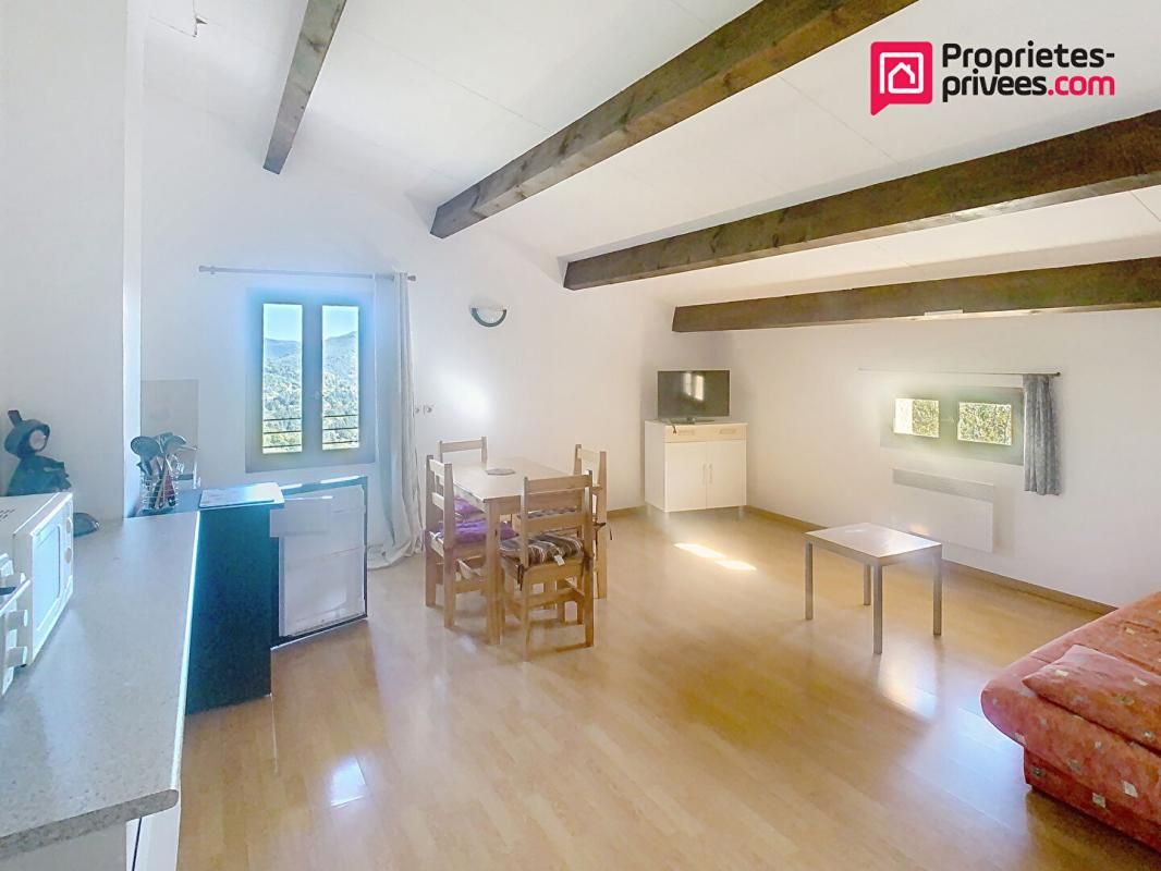 LE VIGAN Maison Le Vigan 15 pièce(s) 410 m2 4