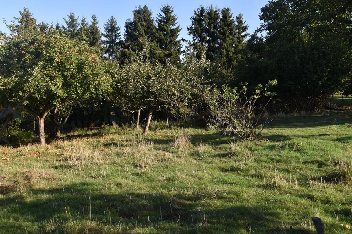 CHEPPY Terrain Constructible Cheppy 1778 m2 1