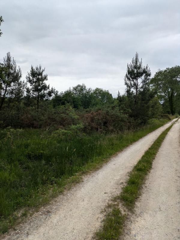 CERCOUX 12 ha de terres avec étang et bois, Cercoux 2