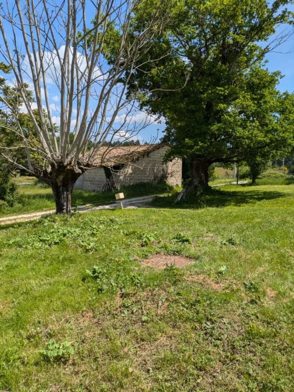 CERCOUX 12 ha de terres avec étang et bois, Cercoux 4