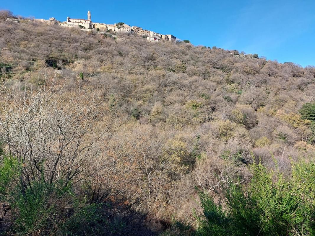 VILLE-DI-PARASO Terrain Constructible à Ville Di Paraso de 3 803 m² avec PC 4