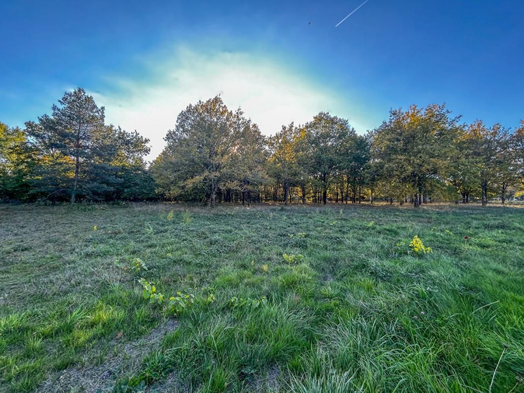 LANGON Terrain Langon Sur Cher 17400 m2 2