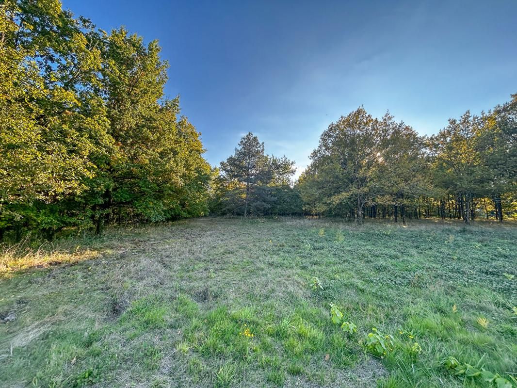 LANGON Terrain Langon Sur Cher 17400 m2 3
