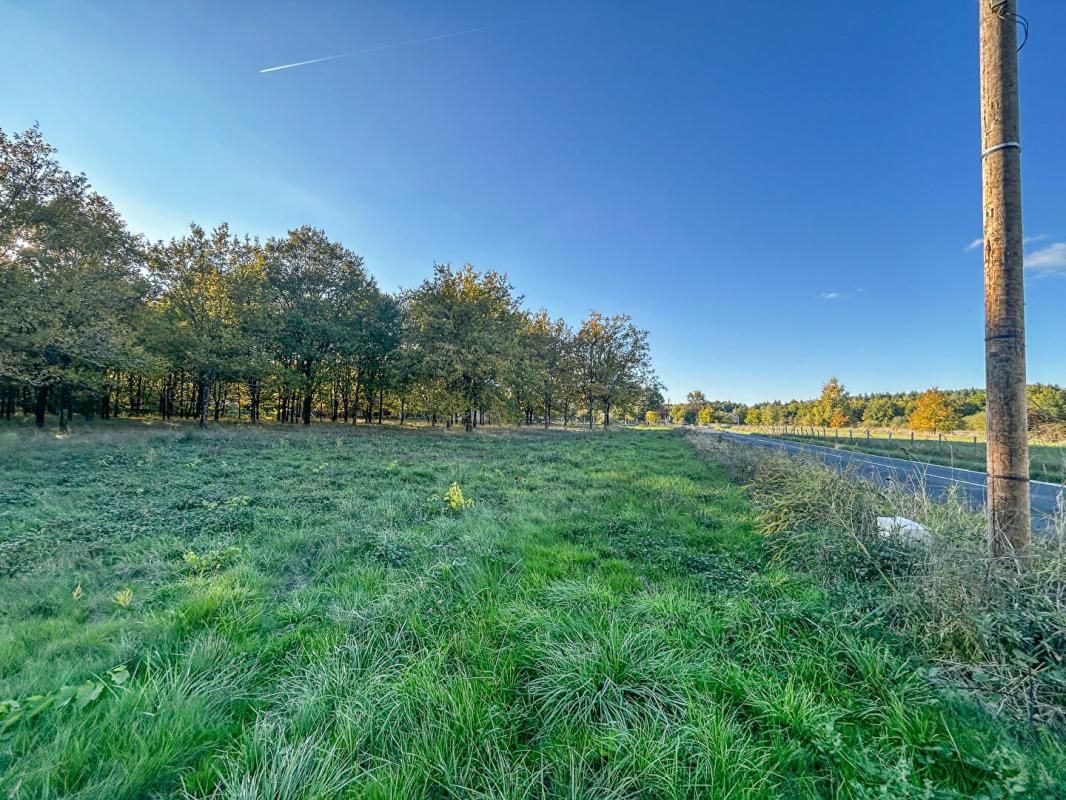 LANGON Terrain Langon Sur Cher 17400 m2 4