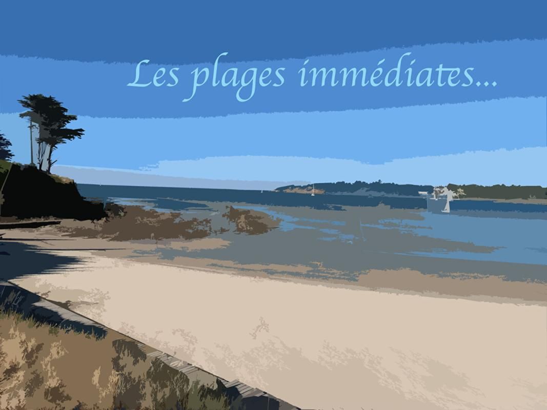 MOELAN-SUR-MER Loft 3 P, 125m2, plain pied, plein sud,  la mer à pied - Moëlan sur Mer 3