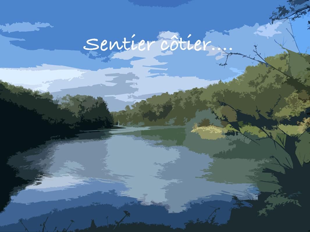 MOELAN-SUR-MER Loft 3 P, 125m2, plain pied, plein sud,  la mer à pied - Moëlan sur Mer 4