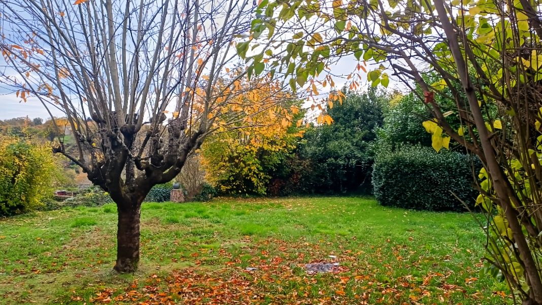 SAINT-BENOIT-DU-SAULT Maison St Benoit Du Sault 6 pièce(s) 168m2 3